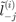 $\tilde{l}_{-j}^{(i)}$