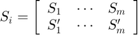 $$S_i=\left[\begin{array}{ccc}S_1&\cdots&S_{m}\\S_1^\prime&\cdots&S_{m}^\prime\end{array}\right]$$